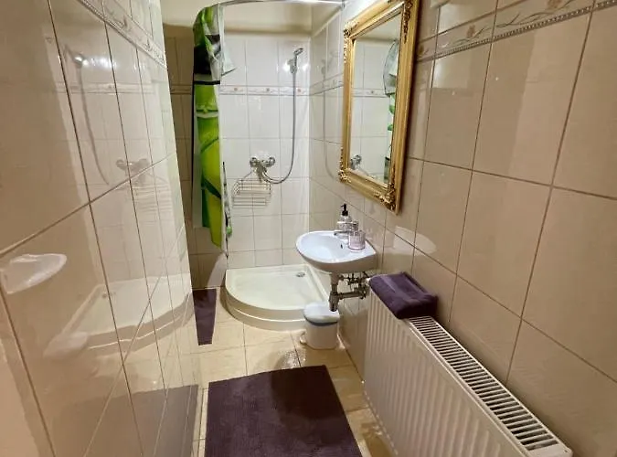 - 利留斯旅馆 公寓 *